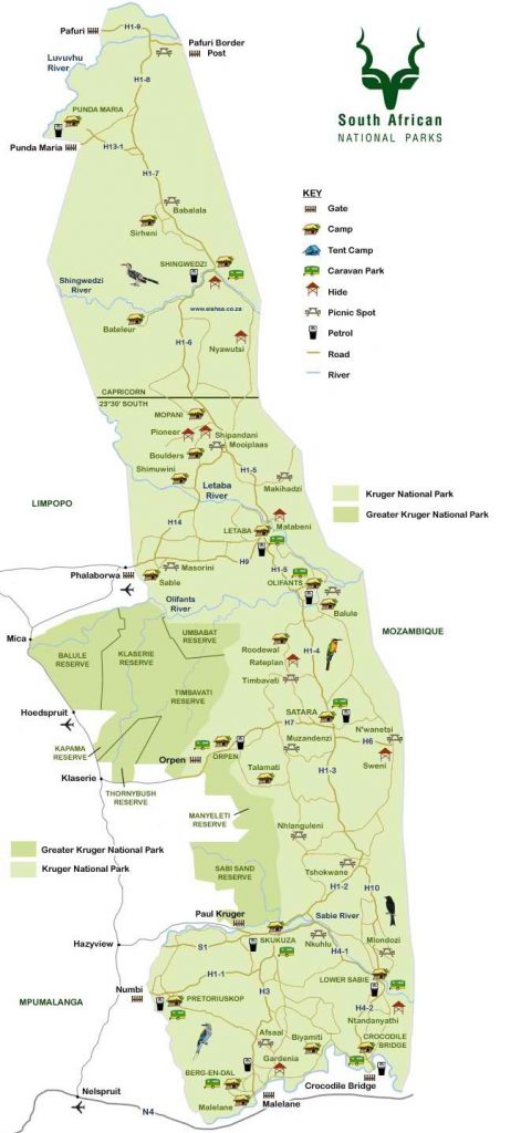 knp-map