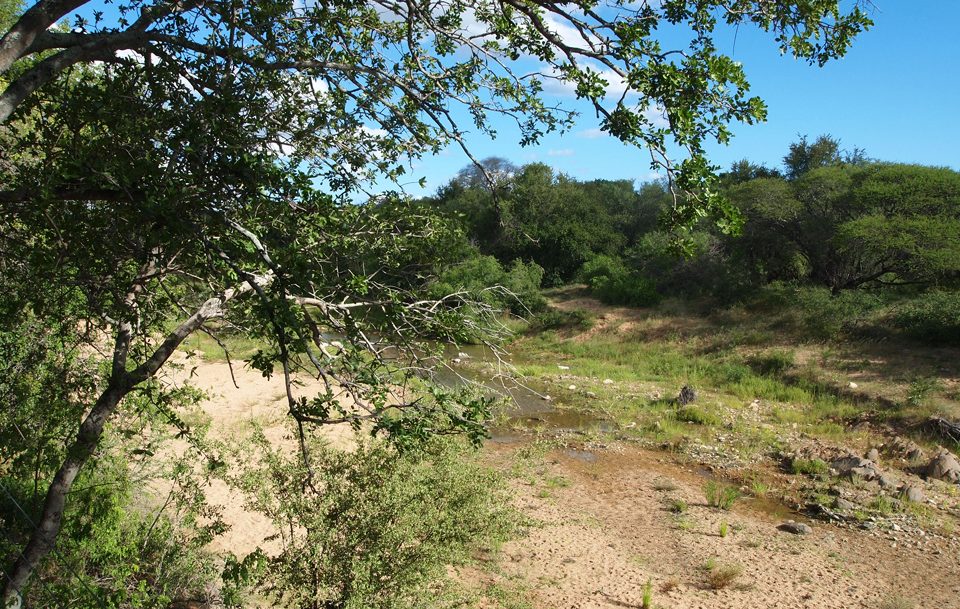 Villa Kudu viewing deck view Sandspruit River
