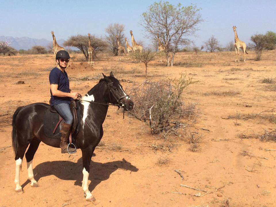 Zahirah Villa Kudu's horses, Zahirah, anglo arab mare