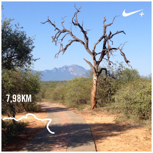 running Running at Villa Kudu